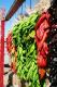 A Tour To The Chile Factory In New Mexico